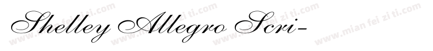 Shelley Allegro Scri字体转换